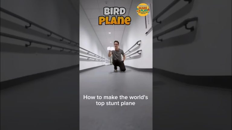 Bird paper plane making tutorial | How to make a Bird paper plane #short #ytshorts #lifeisbutadream